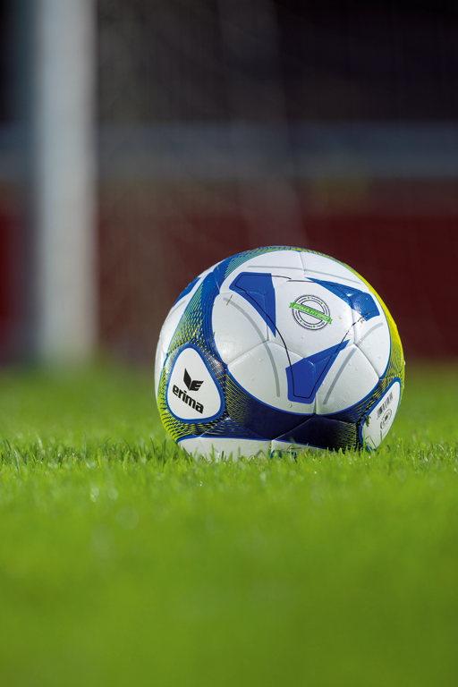 Erima Hybrid Training